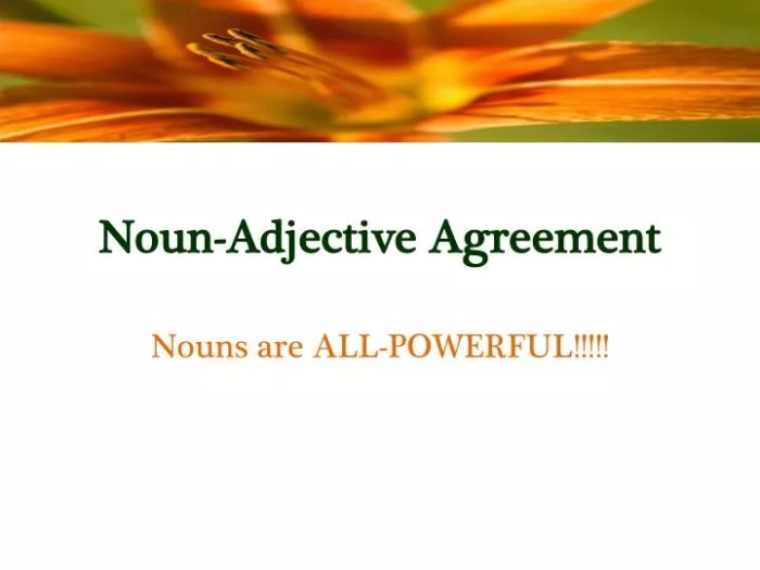 Agreement noun adjective copy slideshare