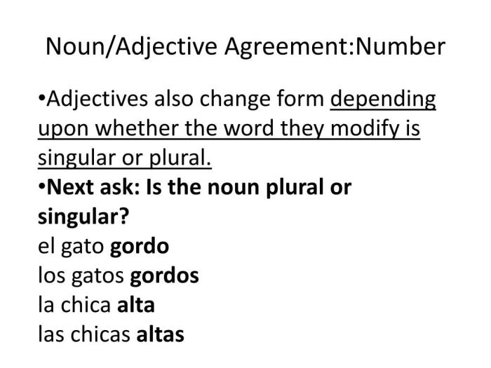 Noun adjective agreement gender singular form ppt powerpoint presentation