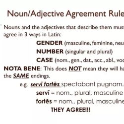 Gramatica b noun adjective agreement