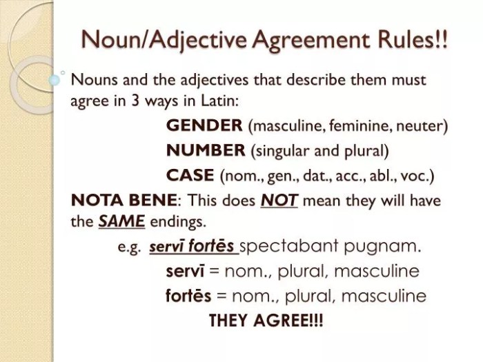 Gramatica b noun adjective agreement