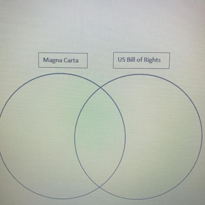 Magna carta and bill of rights venn diagram