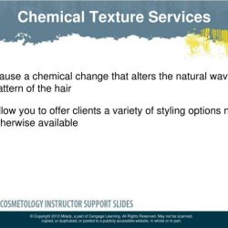 Test a chapter 20 chemical texture services answer key